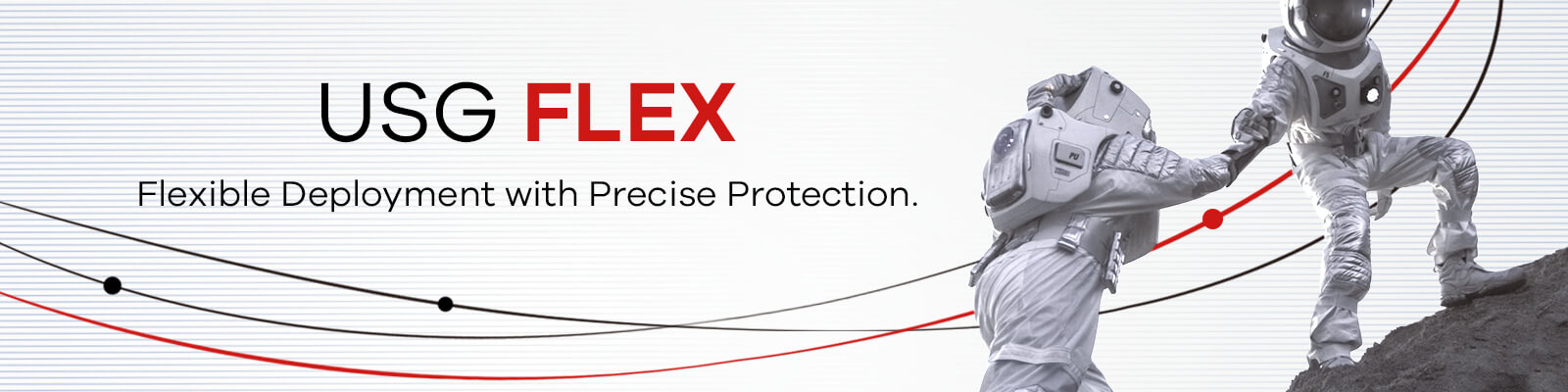USG FLEX, Precise Protection. Flexible Subscription.