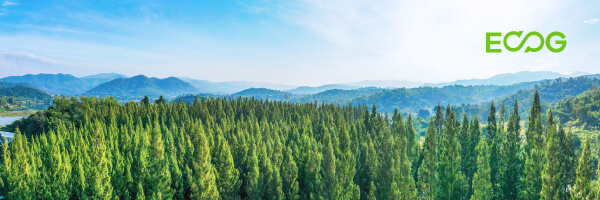 Banner-ESG article