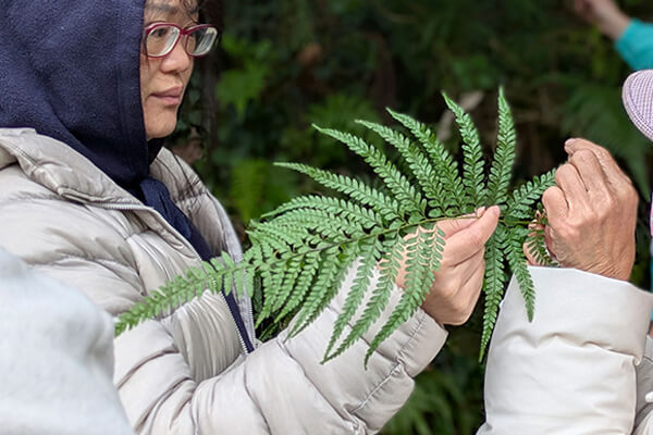 Zyxel joins Taiwan's first environmental trust to restore forests picture 1