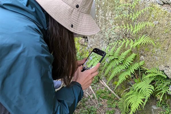 Zyxel joins Taiwan's first environmental trust to restore forests picture 2