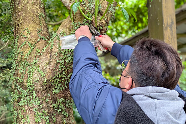 Zyxel joins Taiwan's first environmental trust to restore forests picture 4
