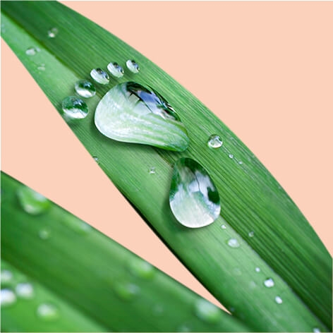 walk-from-heart_result_leaf walk-from-heart_result_leaf