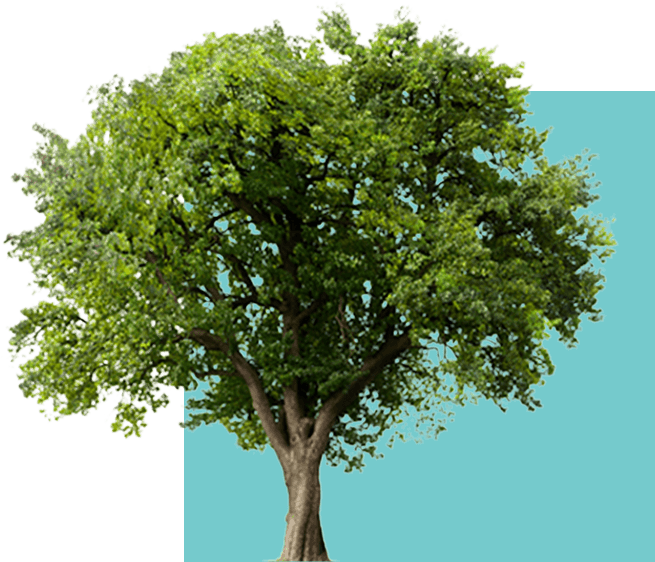 walk-from-heart_result_tree walk-from-heart_result_tree