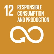 Sustainable_Development_Goal_12.jpg