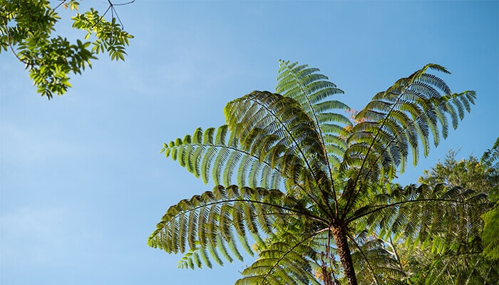 zyxel-esg-article_biodiversity-2025_700x400.jpg