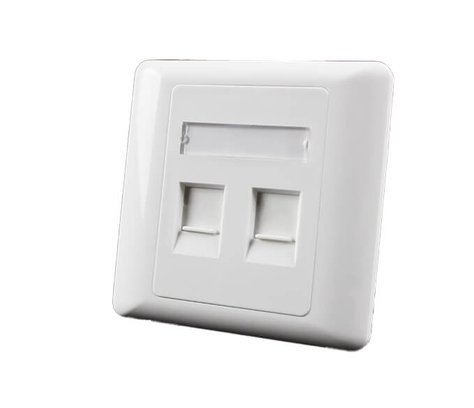 Face Plate Dual Port