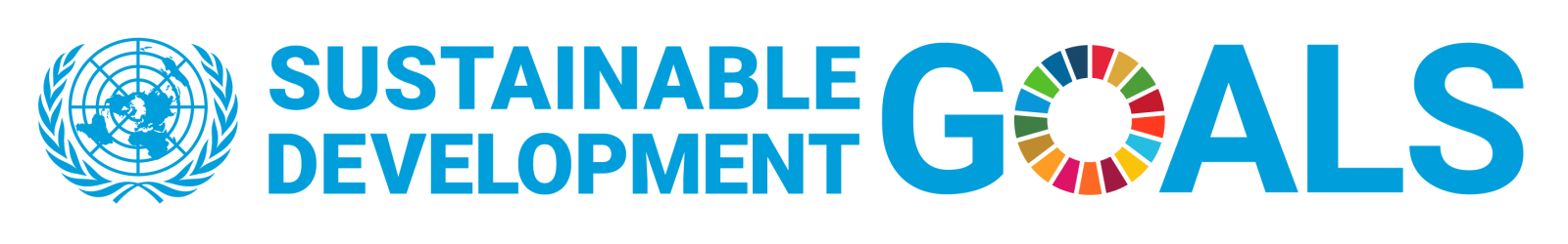 SDG logo