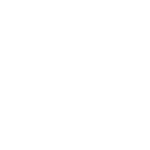 Smart Mesh
