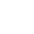 Data Protection icon