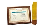 Awards plate and trophy of Taiwan Golden Root Award 2026