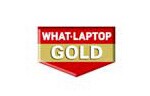 Gold Award