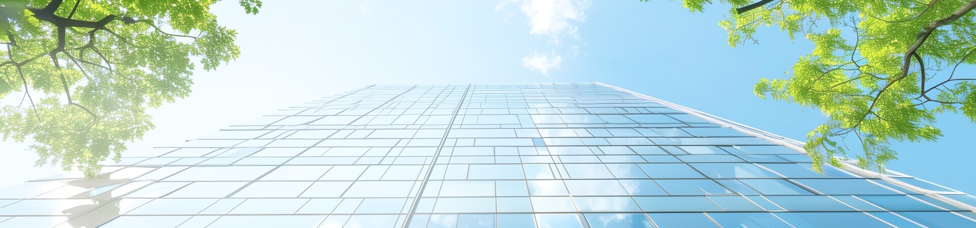 Company Governance