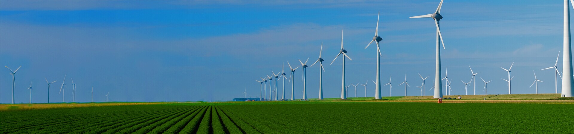 Environmental Protection