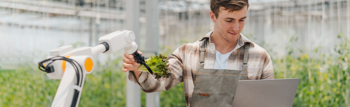 Netherlands smart farming farmer with laptop monitors robotic arm harvesting lettuce in greenhouse using modern agritech.
